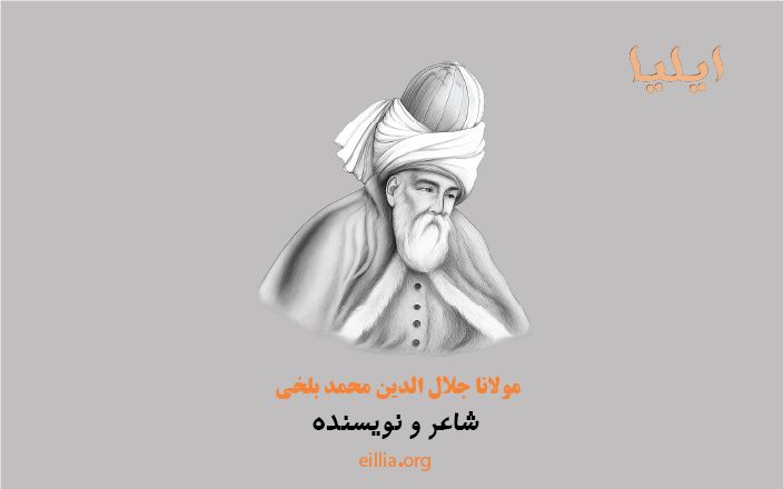 شاعر و نویسنده