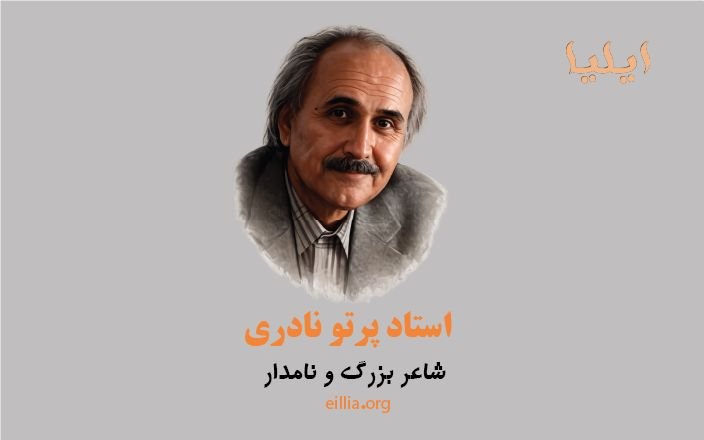 شاعر و نویسنده
