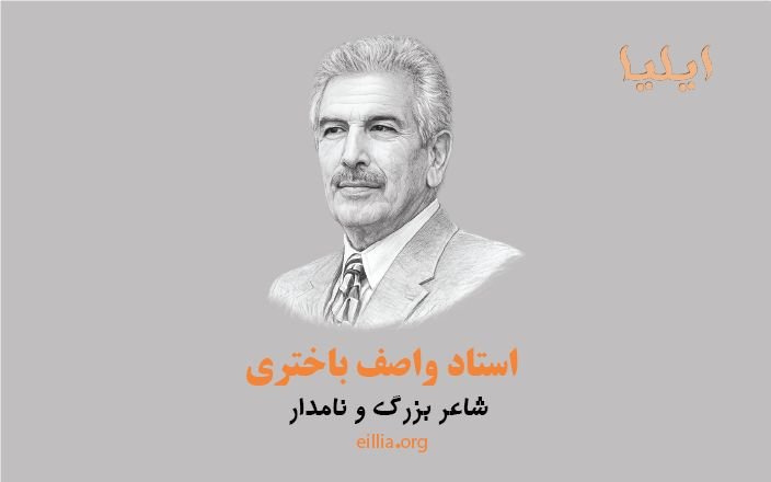شاعر و نویسنده