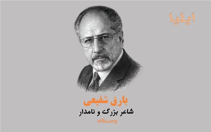 شاعر، نویسنده و روزنامه نگار